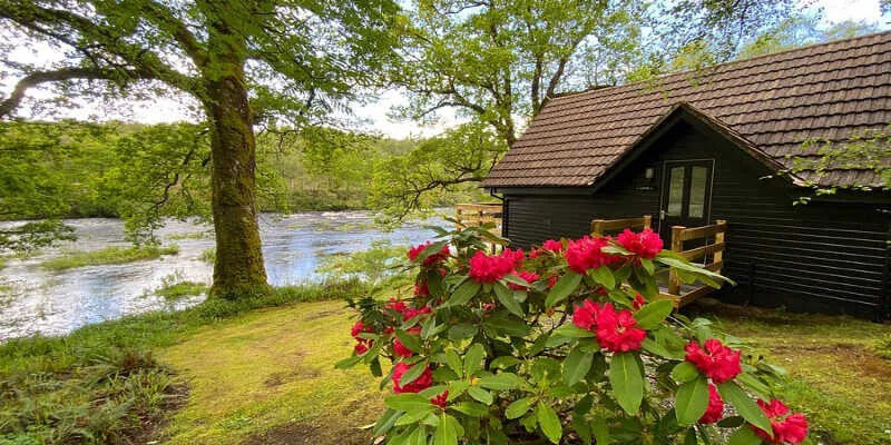 Burnbank Lodges - Your Perfect Woodland Sanctuary
