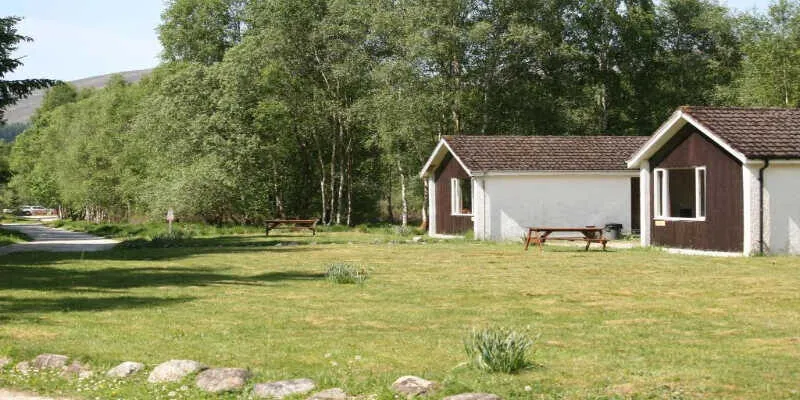 Fascinating wild birds chirping on the property.