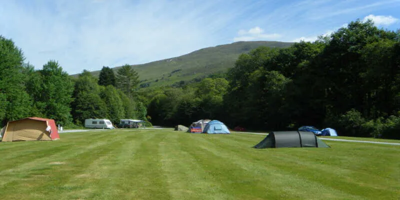 The children enjoy playing safely on the green grass